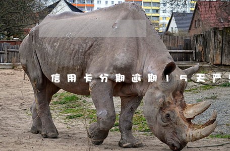 信用卡分期逾期15天严重吗 信用卡分期逾期15天严重吗