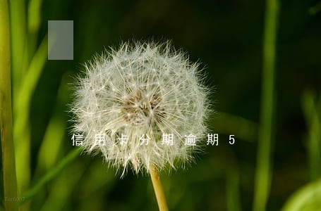 信用卡分期逾期5 信用卡分期逾期5