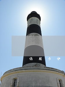 信用卡分期逾期一个月又补上 信用卡分期逾期一个月又补上