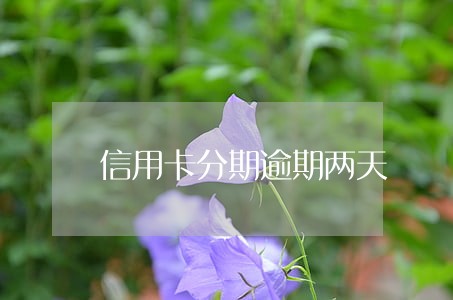 信用卡分期逾期两天 信用卡分期逾期两天