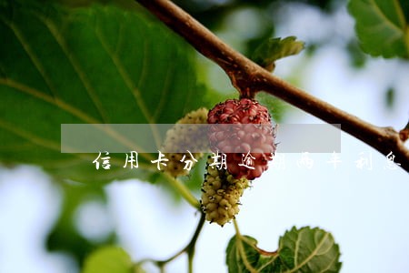信用卡分期逾期两年利息怎么算 信用卡分期逾期两年利息怎么算