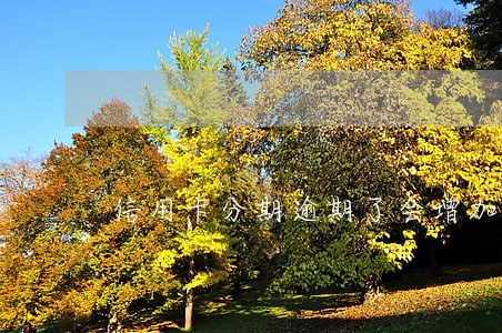信用卡分期逾期了会增加利息吗 信用卡分期逾期了会增加利息吗