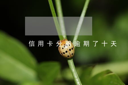 信用卡分期逾期了十天 信用卡分期逾期了十天