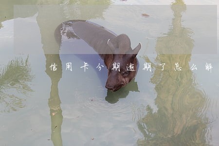 信用卡分期逾期了怎么解决 信用卡分期逾期了怎么解决