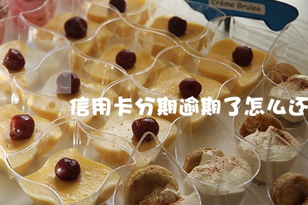 信用卡分期逾期了怎么还最好