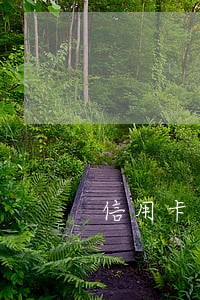 信用卡分期逾期停卡 信用卡分期逾期停卡