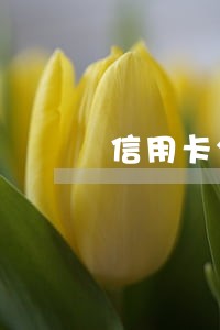信用卡分期逾期全额还款 信用卡分期逾期全额还款