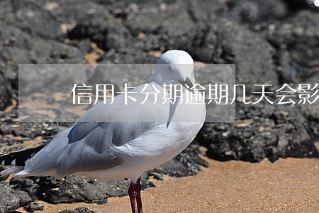 信用卡分期逾期几天会影响征信吗 信用卡分期逾期几天会影响征信吗