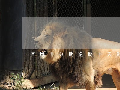 信用卡分期逾期十天影响征信吗