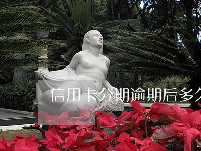 信用卡分期逾期后多久才能用