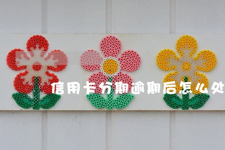 信用卡分期逾期后怎么处理 信用卡分期逾期后怎么处理