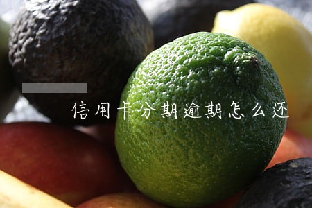 信用卡分期逾期怎么还