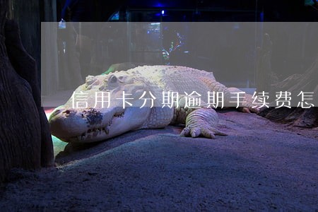 信用卡分期逾期手续费怎么算 信用卡分期逾期手续费怎么算
