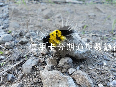 信用卡分期逾期数额很大 信用卡分期逾期数额很大
