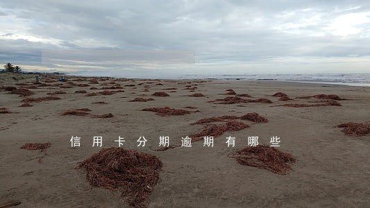 信用卡分期逾期有哪些 信用卡分期逾期有哪些