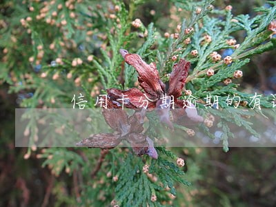 信用卡分期逾期的有罚金吗 信用卡分期逾期的有罚金吗
