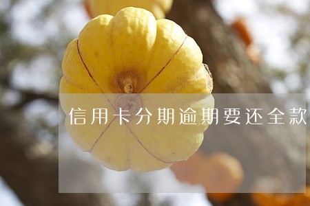 信用卡分期逾期要还全款6