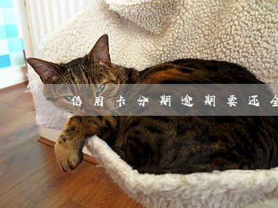 信用卡分期逾期要还全部吗 信用卡分期逾期要还全部吗
