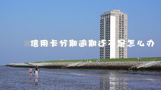 信用卡分期逾期还不是怎么办 信用卡分期逾期还不是怎么办