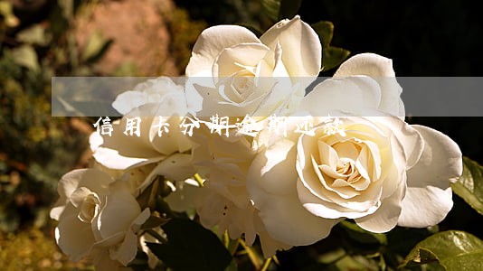 信用卡分期逾期还款 信用卡分期逾期还款
