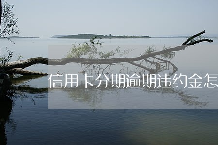 信用卡分期逾期违约金怎么付