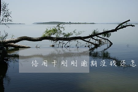 信用卡刚刚逾期没钱还怎么办