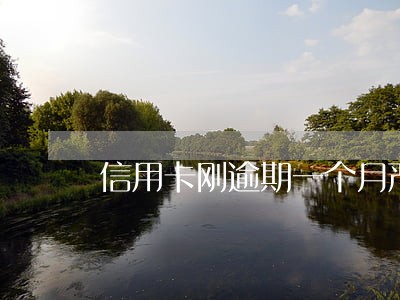 信用卡刚逾期一个月严重不