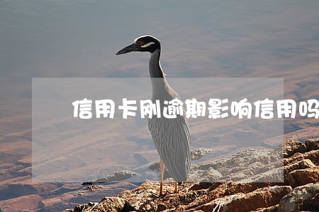 信用卡刚逾期影响信用吗 信用卡刚逾期影响信用吗