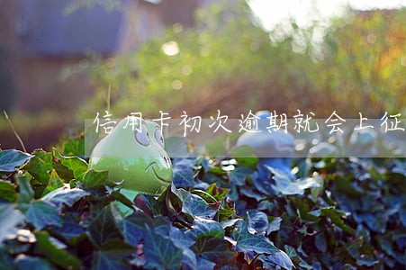 信用卡初次逾期就会上征信吗
