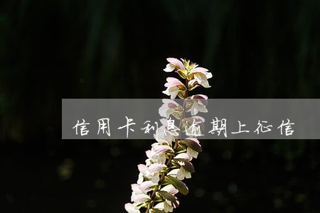 信用卡利息逾期上征信 信用卡利息逾期上征信