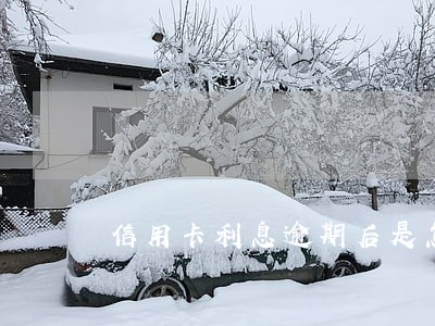 信用卡利息逾期后是怎么算的 信用卡利息逾期后是怎么算的