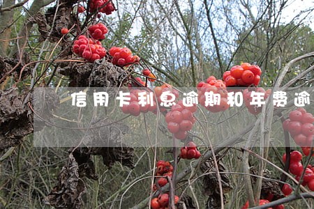 信用卡利息逾期和年费逾期 信用卡利息逾期和年费逾期