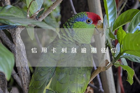 信用卡利息逾期征信 信用卡利息逾期征信