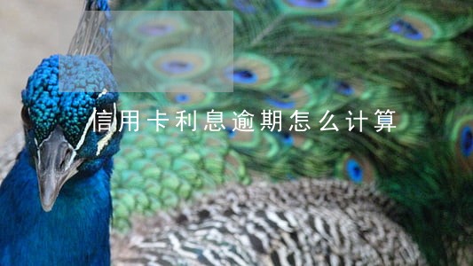 信用卡利息逾期怎么计算