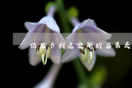 信用卡利息逾期的后果是怎样 信用卡利息逾期的后果是怎样