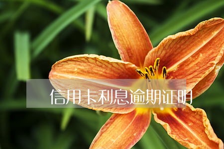 信用卡利息逾期证明