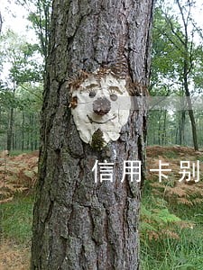 信用卡别人使用造成逾期如何处理 信用卡别人使用造成逾期如何处理