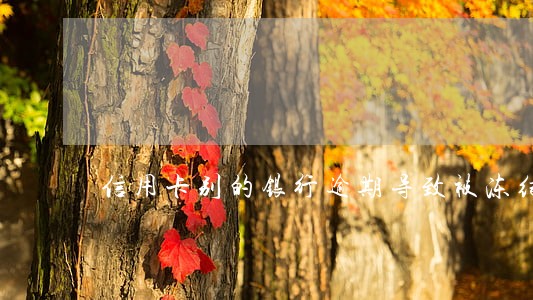 信用卡别的银行逾期导致被冻结 信用卡别的银行逾期导致被冻结