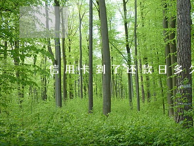 信用卡到了还款日多久算逾期