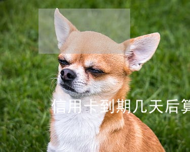 信用卡到期几天后算逾期 信用卡到期几天后算逾期