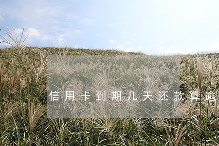 信用卡到期几天还款算逾期吗 信用卡到期几天还款算逾期吗