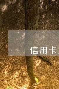 信用卡到期前几天还款算逾期吗