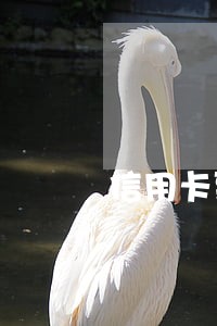 信用卡到期后没还算逾期吗 信用卡到期后没还算逾期吗