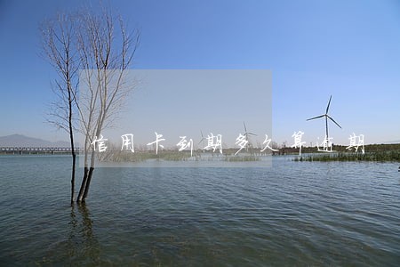 信用卡到期多久算逾期 信用卡到期多久算逾期