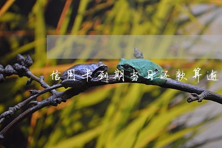 信用卡到期当日还款算逾期吗 信用卡到期当日还款算逾期吗