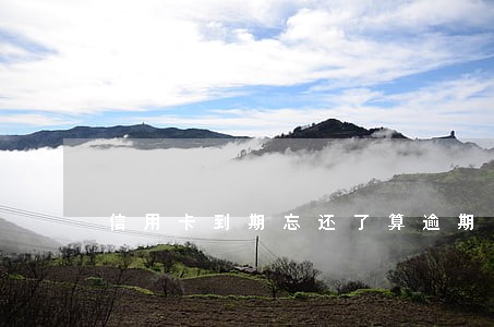 信用卡到期忘还了算逾期 信用卡到期忘还了算逾期