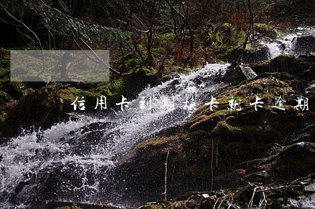 信用卡到期换卡就卡逾期记录