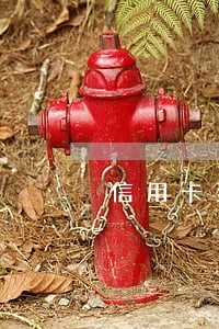 信用卡到期日还款算不算逾期 信用卡到期日还款算不算逾期