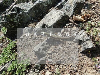 信用卡到期日还算逾期吗