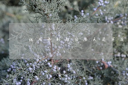 信用卡到期日隔天还算逾期吗 信用卡到期日隔天还算逾期吗